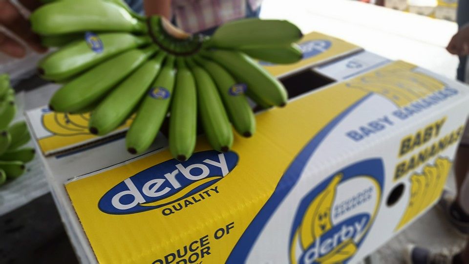 51bb48b93756f164dbf030cd3129b872